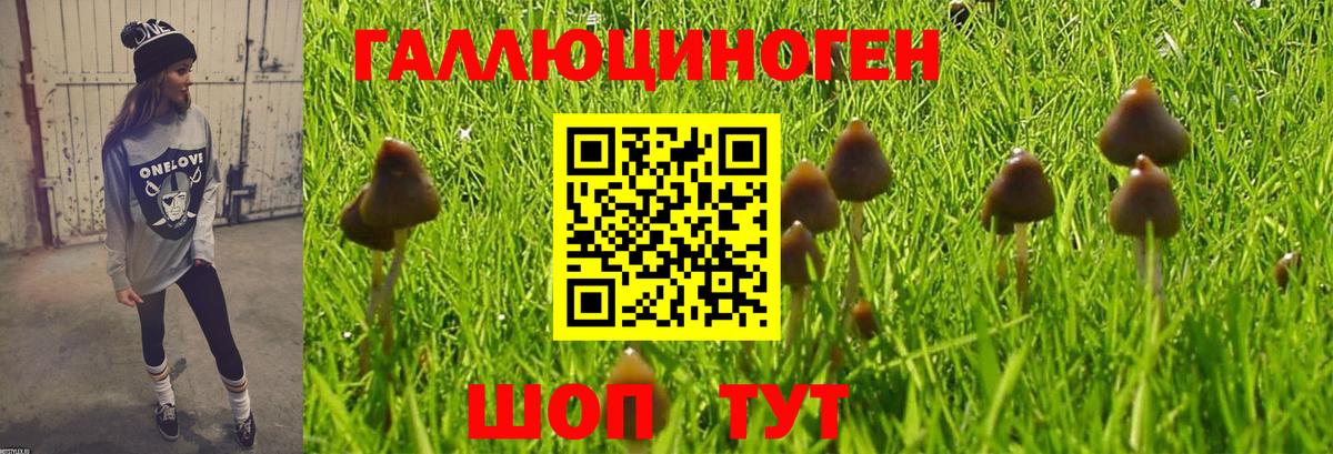 Галлюциногенные грибы мицелий Нижневартовск
